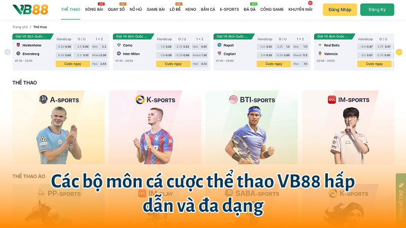 Các bộ môn cá cược thể thao VB88 hấp dẫn và đa dạng