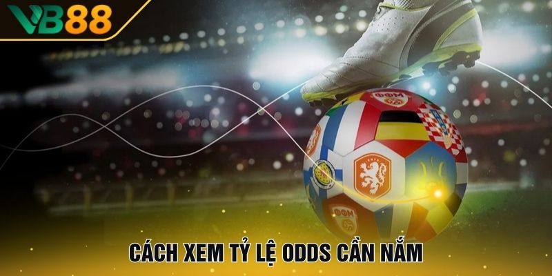 Kèo Nhà Cái | Danh Sách Tỷ Lệ Kèo Được Ưa Chuộng Nhất 2025 3 Cách xem tỷ lệ odds cần nắm