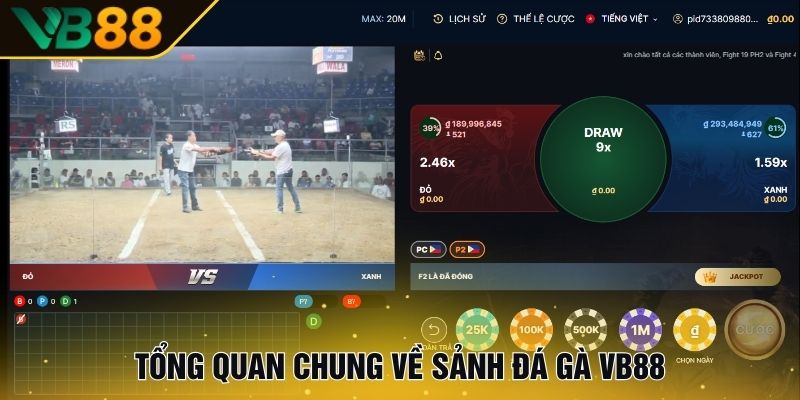 Tổng quan chung về sảnh Đá gà VB88